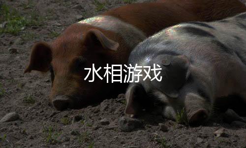 水相游戏