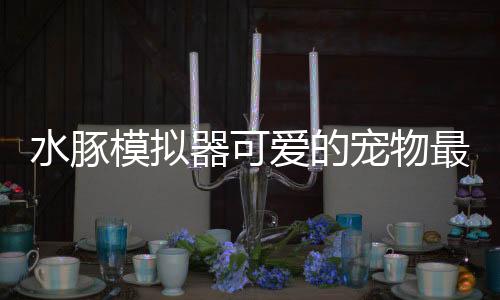 水豚模拟器可爱的宠物最新版