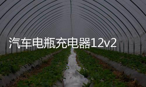 汽车电瓶充电器12v24v纯铜修复通用型智能脉冲大功率自动满电自停