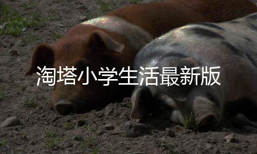 淘塔小学生活最新版