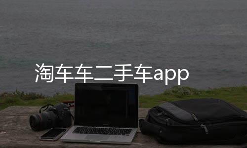 淘车车二手车app
