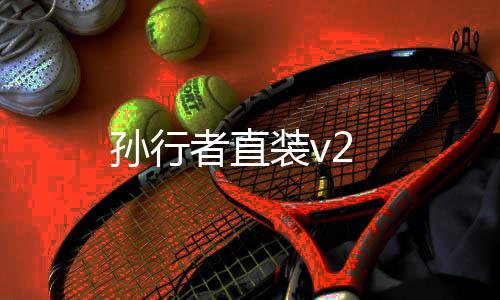 孙行者直装v2