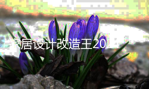 家居设计改造王2024破解版