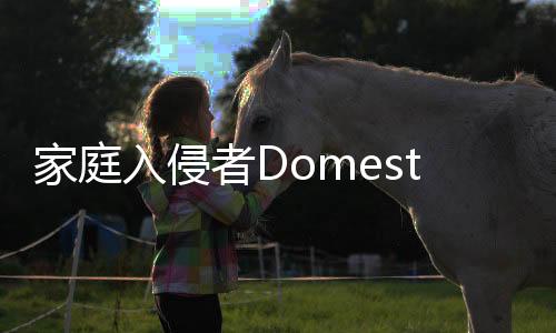 家庭入侵者Domestic Intruder安卓版