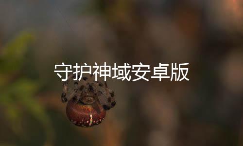 守护神域安卓版