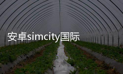 安卓simcity国际版