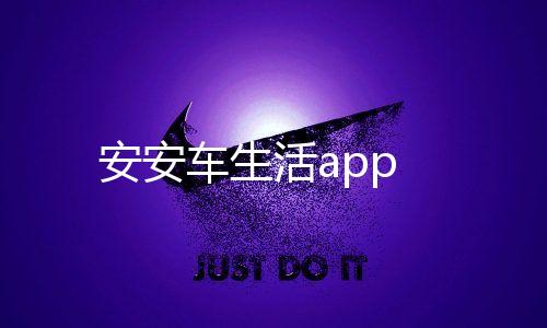 安安车生活app