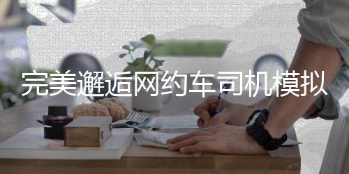 完美邂逅网约车司机模拟最新版