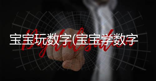 宝宝玩数字(宝宝学数字免费版)