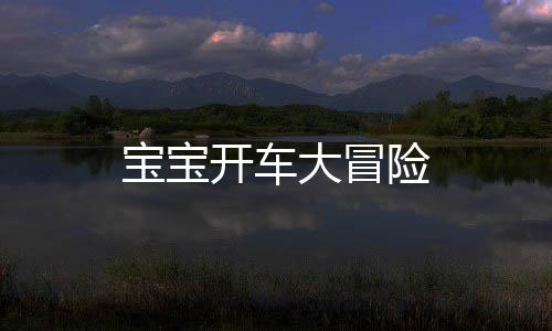 宝宝开车大冒险