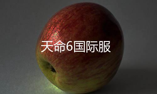 天命6国际服