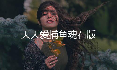 天天爱捕鱼魂石版