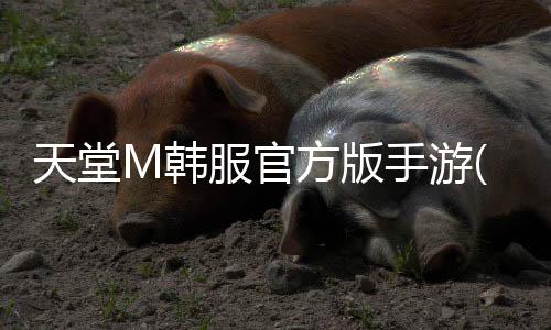 天堂M韩服官方版手游(리니지M)
