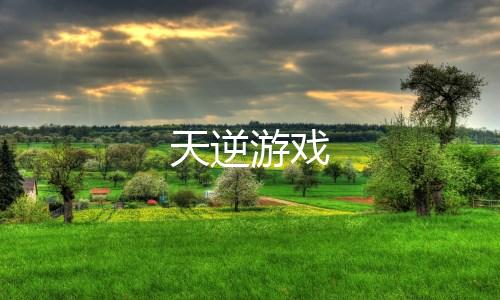 天逆游戏