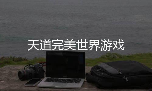 天道完美世界游戏