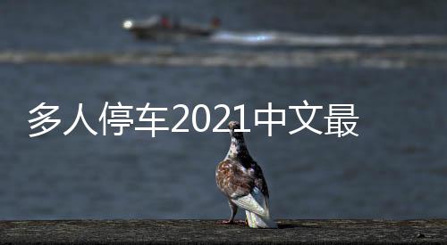 多人停车2021中文最新版
