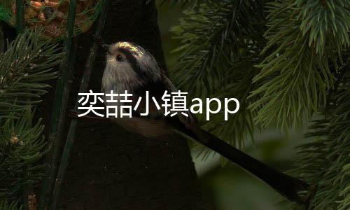 奕喆小镇app