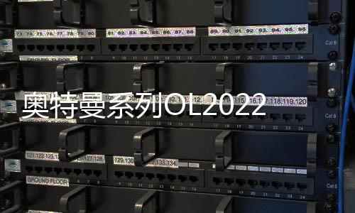 奥特曼系列OL2022虎年新春版