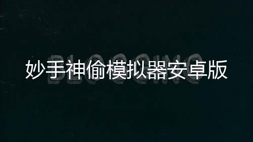 妙手神偷模拟器安卓版