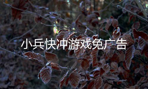 小兵快冲游戏免广告