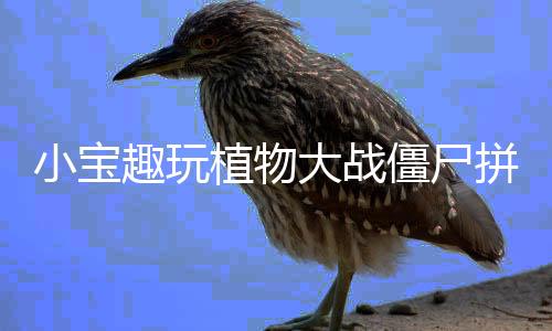 小宝趣玩植物大战僵尸拼接版