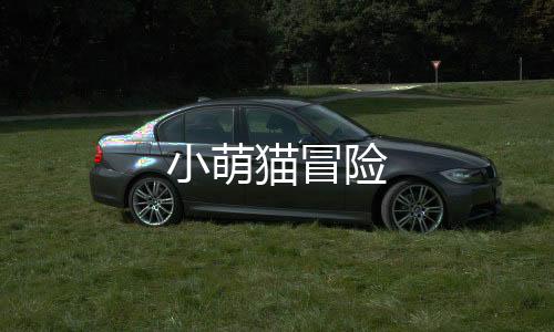 小萌猫冒险