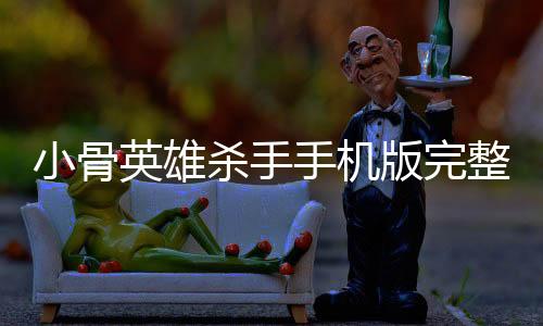 小骨英雄杀手手机版完整版