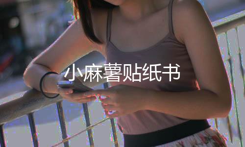 小麻薯贴纸书