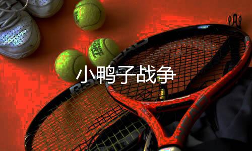 小鸭子战争