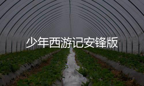 少年西游记安锋版