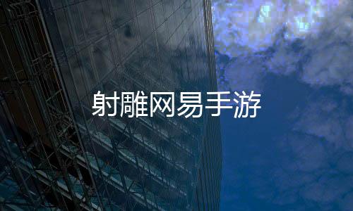射雕网易手游