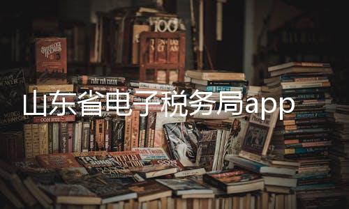 山东省电子税务局app