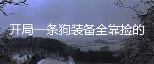 开局一条狗装备全靠捡的游戏破解版