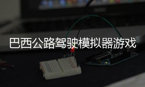 巴西公路驾驶模拟器游戏