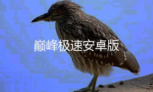 巅峰极速安卓版