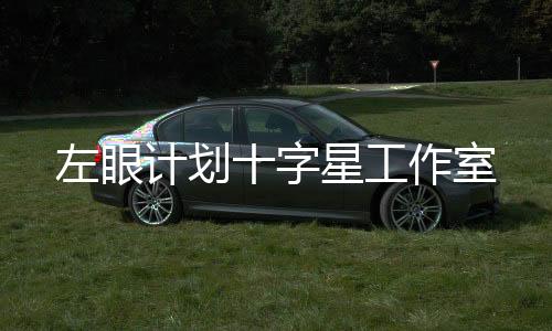 左眼计划十字星工作室