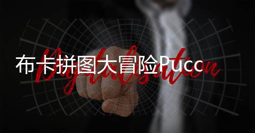 布卡拼图大冒险Pucca Puzzle Adventure