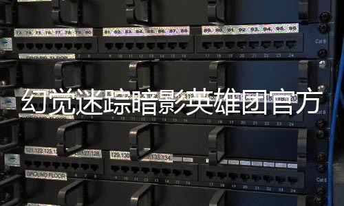 幻觉迷踪暗影英雄团官方版