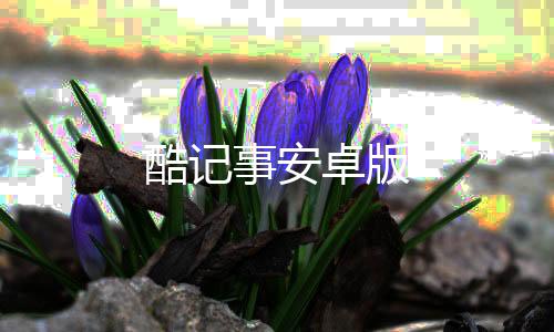 酷记事安卓版