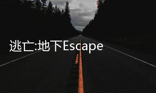 逃亡:地下Escape: Underground游戏