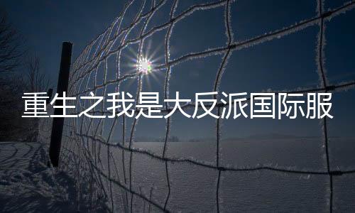 重生之我是大反派国际服