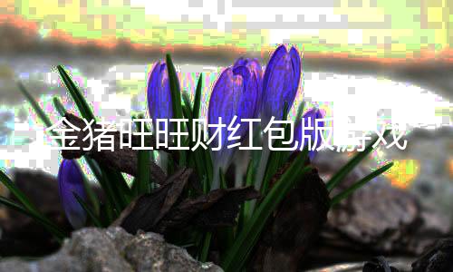 金猪旺旺财红包版游戏