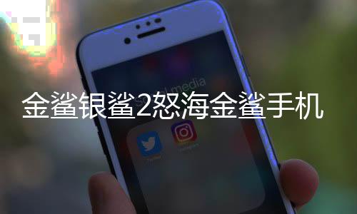 金鲨银鲨2怒海金鲨手机软件