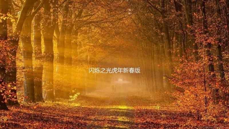 闪烁之光虎年新春版