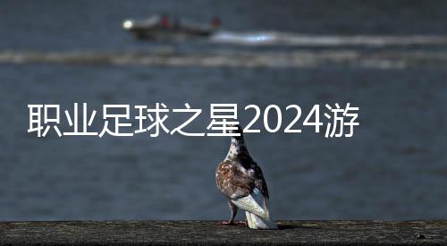 职业足球之星2024游戏