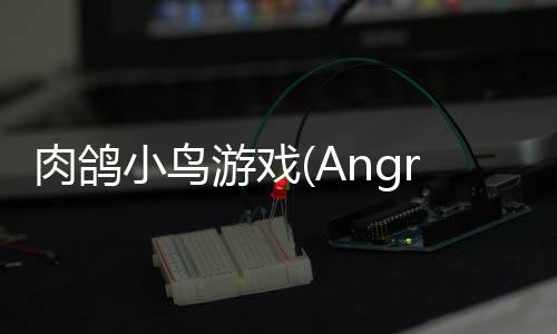 肉鸽小鸟游戏(AngryBirds rougelike)