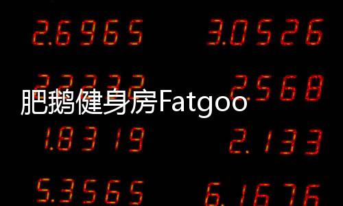 肥鹅健身房Fatgoose Go: Merge and Story官方版