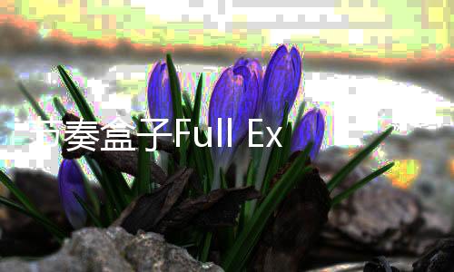 节奏盒子Full Expresskiarvochrome模组最新版