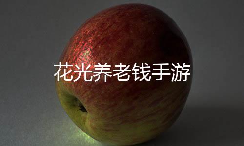 花光养老钱手游