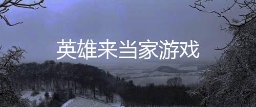 英雄来当家游戏